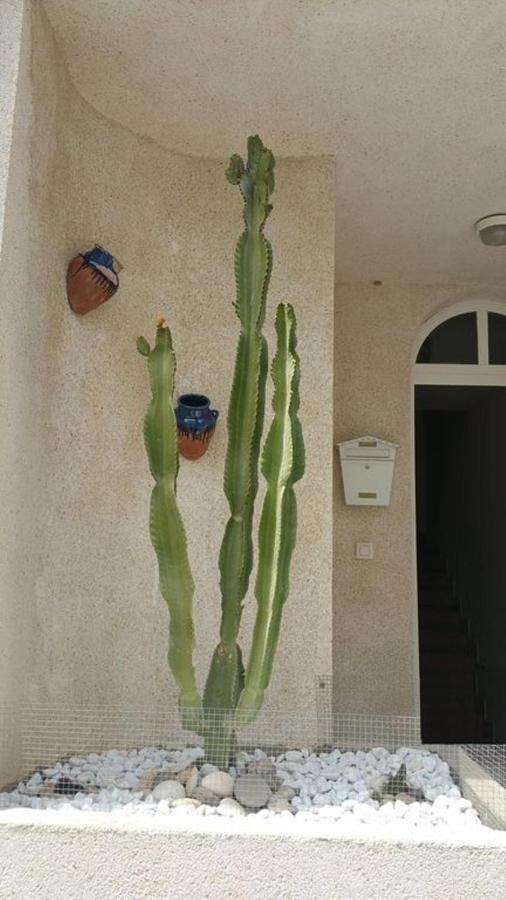 Casa El Algarrobico Agua Amarga (Almeria) Exterior foto